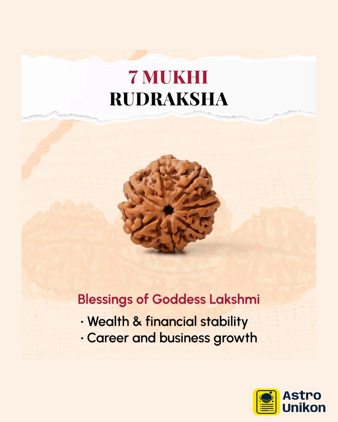7 mukhi rudraksha